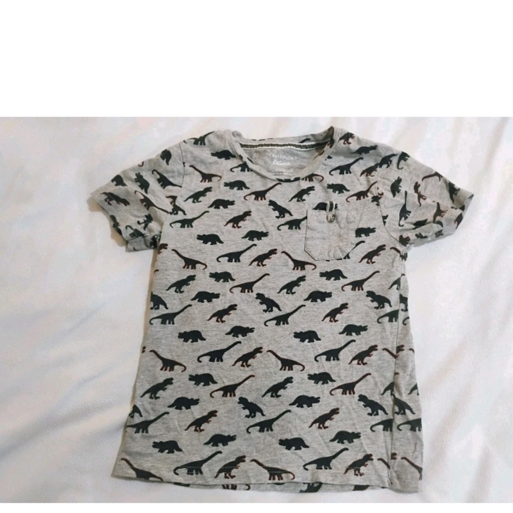 Dinosaur Adventure Kids Tee - Gray